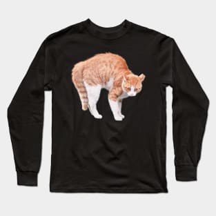 Angry Cat Long Sleeve T-Shirt